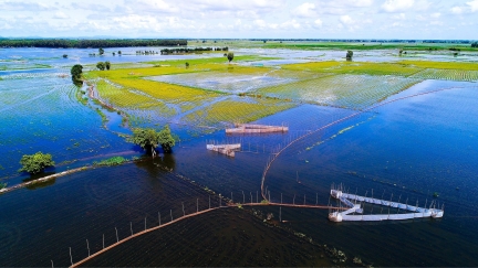 Nét đặc trưng mùa nước nổi