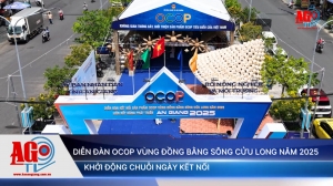Diễn đàn OCOP vùng đồng bằng sông Cửu Long năm 2025 khởi động chuỗi ngày kết nối