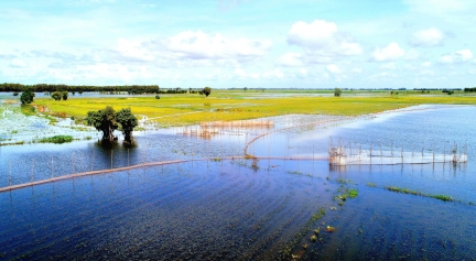 Ký ức mùa nước nổi