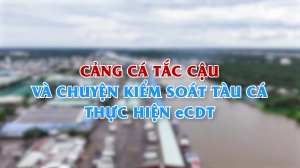 Cảng cá Tắc Cậu và chuyện kiểm soát tàu cá thực hiện eCDT