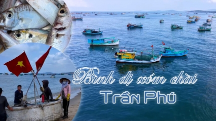 Bình dị xóm chài Trần Phú