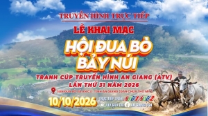 [TRỰC TIẾP] KHAI MẠC HỘI ĐUA BÒ BẢY NÚI TRANH CÚP TRUYỀN HÌNH AN GIANG (ATV) LẦN THỨ 31 NĂM 2026