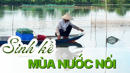 Sinh kế mùa nước nổi