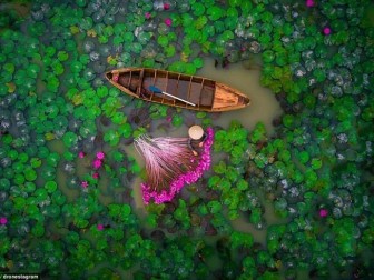 Cảnh đẹp Việt Nam thắng giải thi ảnh quốc tế