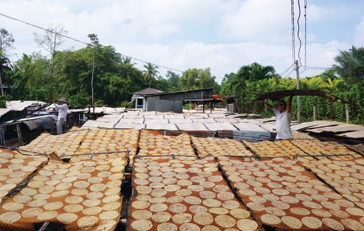 Làng bánh phồng Phú Mỹ tất bật đón Tết