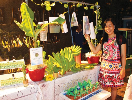 Khởi nghiệp với cây chuối