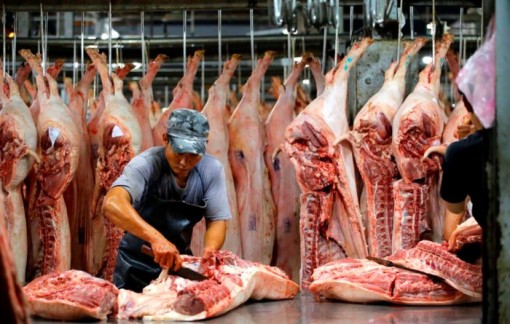 Thị trường thịt heo sẽ cân bằng trong năm mới