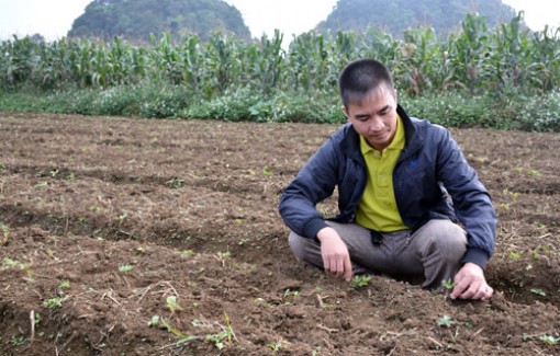 Từ làm thuê thành tỷ phú Cổng trời