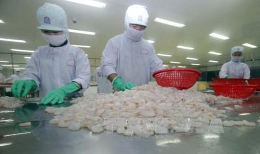 Năm 2018, phấn đấu kim ngạch xuất khẩu thuỷ sản đạt 8,5 tỷ USD
