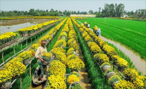 Đồng Tháp: Đầu năm Du xuân Làng hoa Sa Đéc