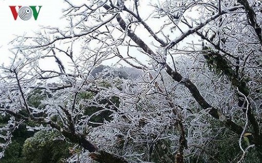 Thời tiết ngày 14-1: Rét đậm, rét hại tại miền Bắc dần suy yếu