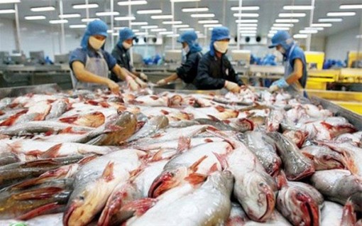 Việt Nam khiếu nại biện pháp chống bán phá giá cá tra, basa lên WTO