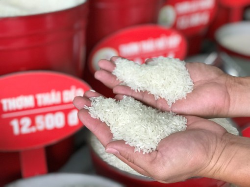 Bát nháo gạo “sạch”