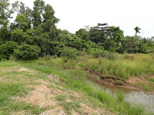 Đất sang tên chủ mới ‘rơi’ mất 33 m2