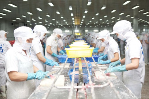 Đồng Tháp: Xuất khẩu tiếp tục tăng trưởng mạnh