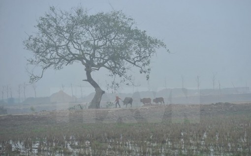 Các khu vực trên cả nước đều có mưa, sáng sớm có sương mù