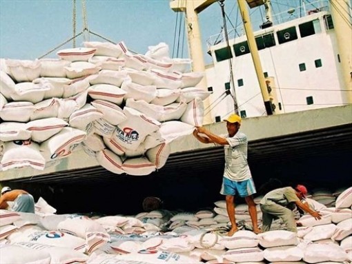 Việt Nam trúng thầu 141.000 tấn gạo xuất khẩu sang Indonesia