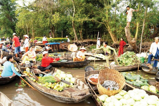 Đi về 'kho báu' chín rồng