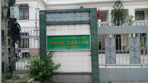 Cà Mau: Phát hiện 114 con tê tê quý hiếm bị vận chuyển trái phép