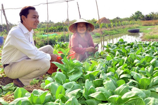 Nhà nông “phất lên” nhờ được vay vốn Quỹ Hỗ trợ nông dân