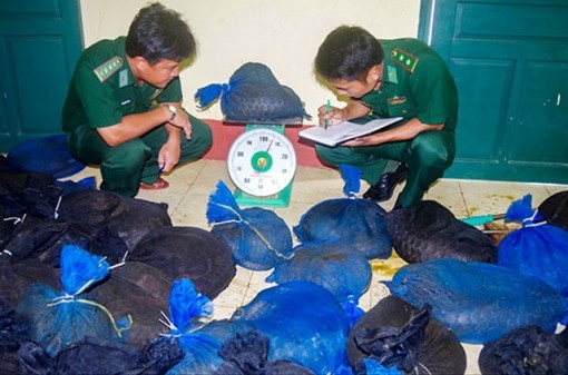 Cà Mau mở rộng điều tra vụ vận chuyển trái phép động vật hoang dã