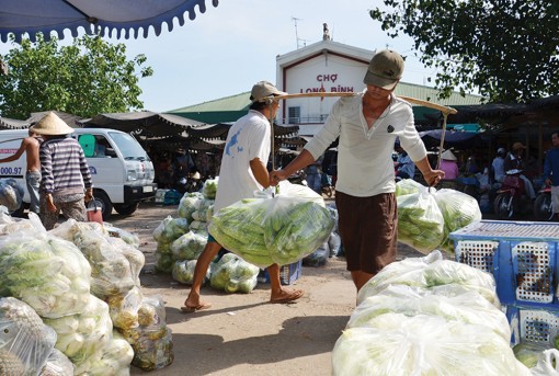 Biên giới vào xuân