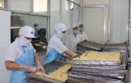 Chuẩn bị nguồn nguyên liệu cá tra