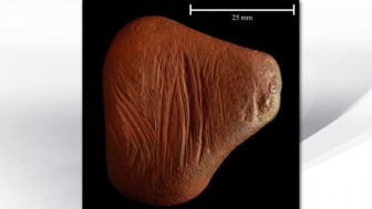 Sáp màu 10.000 tuổi trông như thế nào?