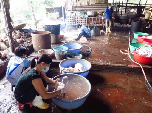 Gian nan đấu tranh với thực phẩm bẩn