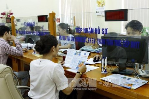 Sẽ xử lý một số đơn vị vi phạm đóng BHXH theo Luật Hình sự để làm gương