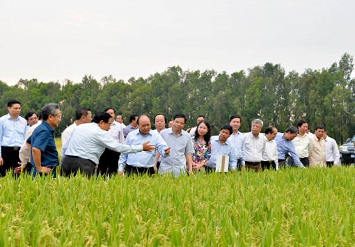 Năm mới, quyết tâm mới