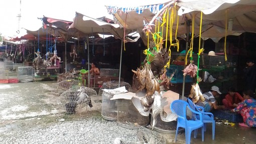 Khu chợ  “độc, lạ” trên tuyến Quốc lộ