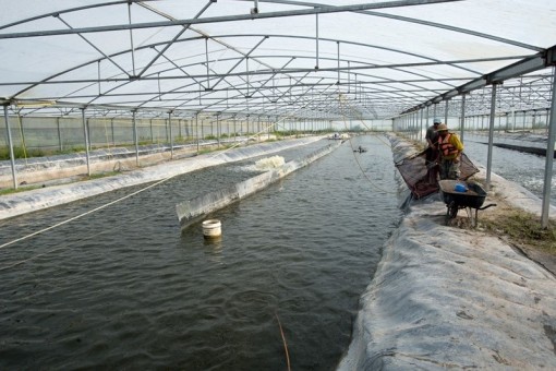 Bạc Liêu đổi hướng đột phá, kêu gọi đầu tư