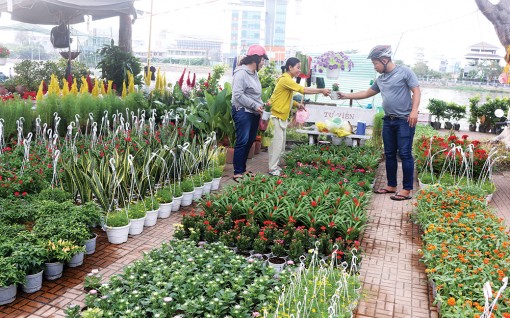 Chợ hoa xuân có gì mới?