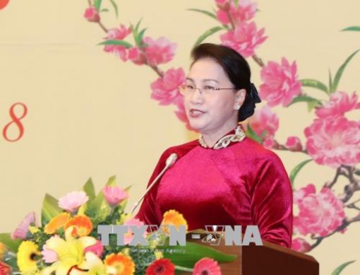Chủ tịch Quốc hội gặp gỡ các cơ quan thông tấn báo chí nhân dịp Xuân Mậu Tuất 2018