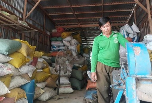 An Giang: 'Hai lúa' bỏ công sức tầm thuốc Nam miễn phí cho dân nghèo
