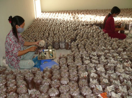 Nhiều đột phá về khoa học và công nghệ