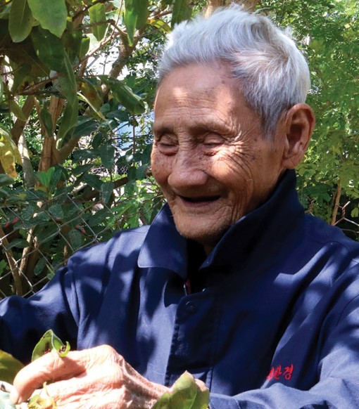 Đầu năm thăm “Làng trường thọ”