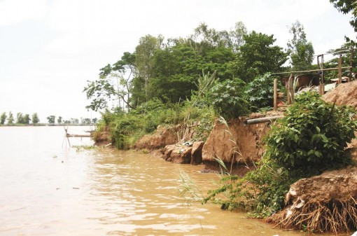 Sớm triển khai dự án chống sạt lở bờ Châu Phong