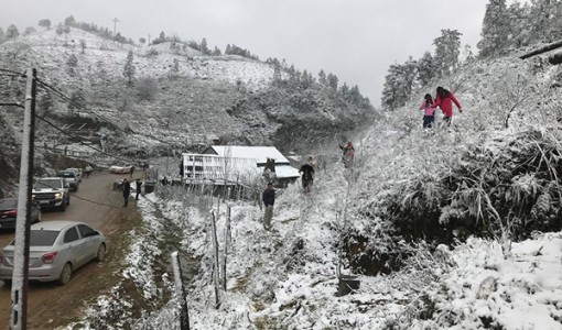 Dự báo thời tiết 1-2: Miền Bắc rét nhất 2 năm qua