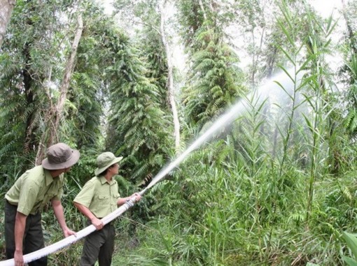 Kiên Giang: Cháy, nổ gây thiệt hại khoảng 32,5 tỷ đồng