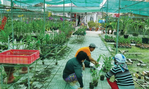 Rộn ràng đón Xuân