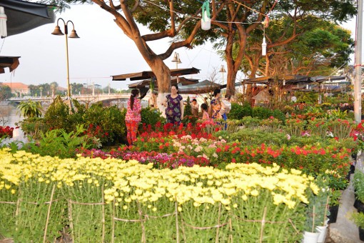 Khởi động chợ hoa Xuân 2018