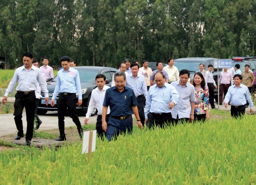 Nông nghiệp An Giang đón đầu cơ hội mới