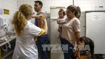 Bùng phát dịch sốt vàng da tại Brazil, 61 người tử vong