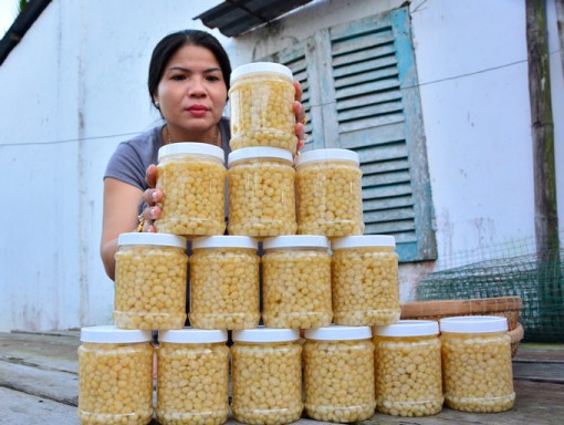 Đặc sản Tết: Bánh chưng, bánh tét, củ kiệu nhà làm đắt như tôm tươi