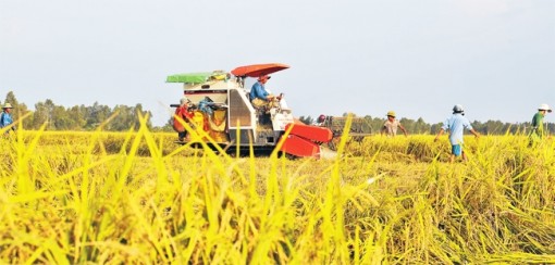 Cuộc sống mới của những hộ nghèo ở Sóc Trăng