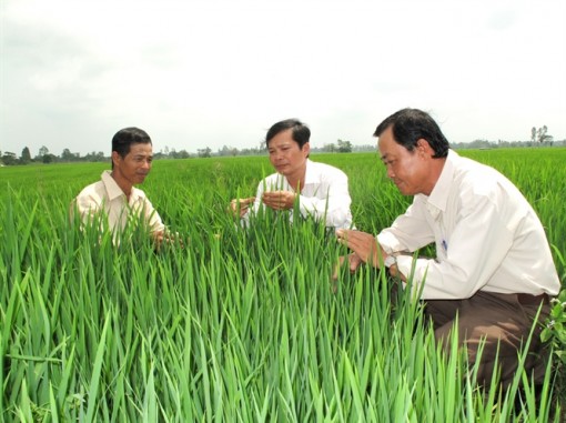 An Giang tổng kết 5 năm hoạt động khuyến nông