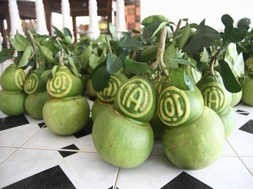 'Cháy hàng' bưởi hồ lô tạo hình Tài Lộc