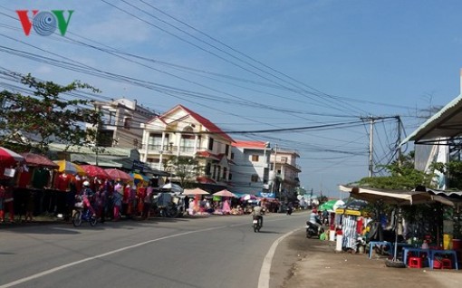 Sầu riêng được mùa được giá, nhiều nhà vườn có lãi cả tỷ đồng